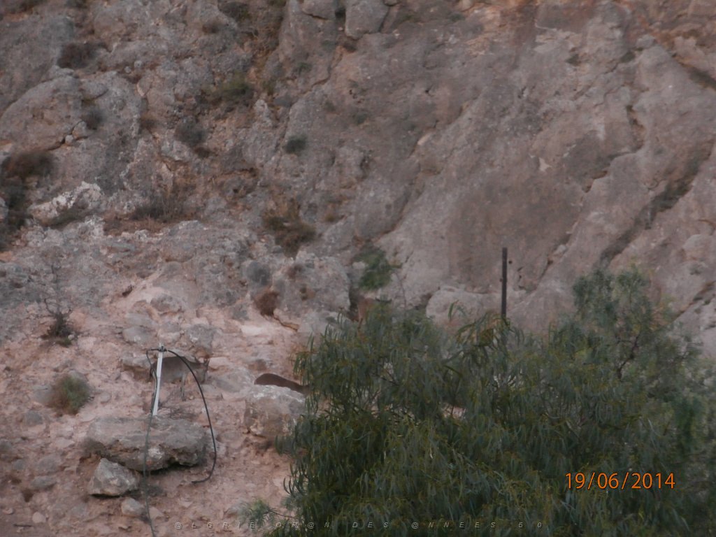 HOMMAGE A N.D. DE SANTA CRUZ A DALIAS 14 ET 15 JUIN 2014 (185).JPG